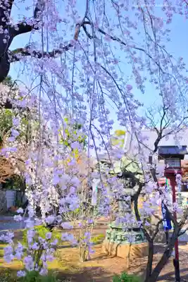 寛永寺開山堂(東京都)