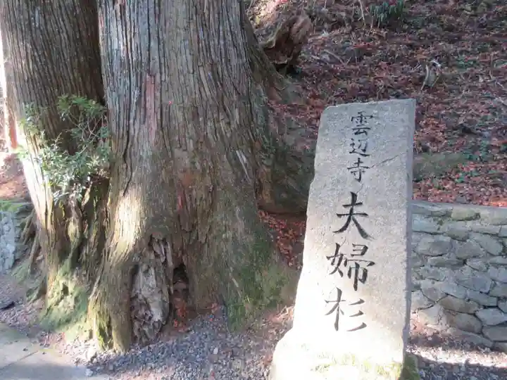 雲辺寺(徳島県)