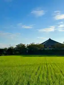 浄土寺(兵庫県)(2024年08月23日(金) 06時49分38秒投稿)