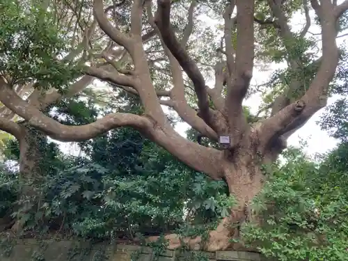 酒列磯前神社(茨城県)