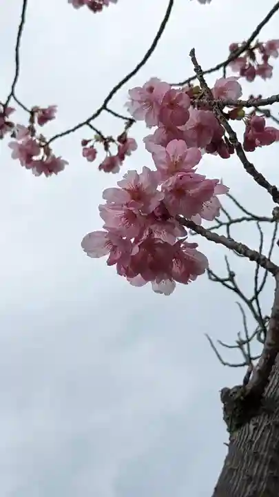 熊野若王子神社(京都府)