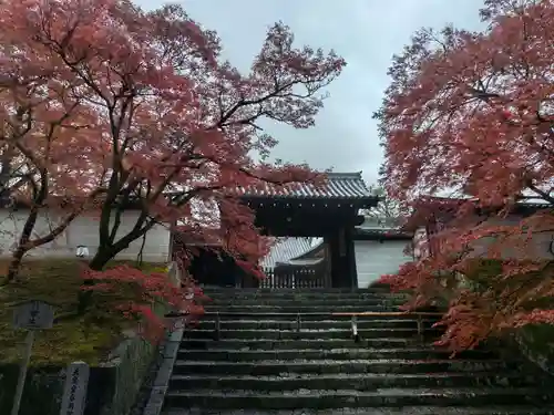曼殊院門跡の山門・神門