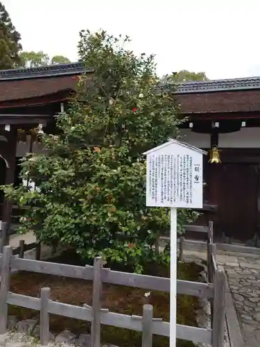 賀茂御祖神社（下鴨神社）のその他建物