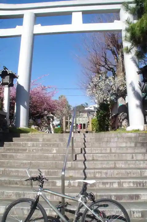 新宿下落合氷川神社の鳥居