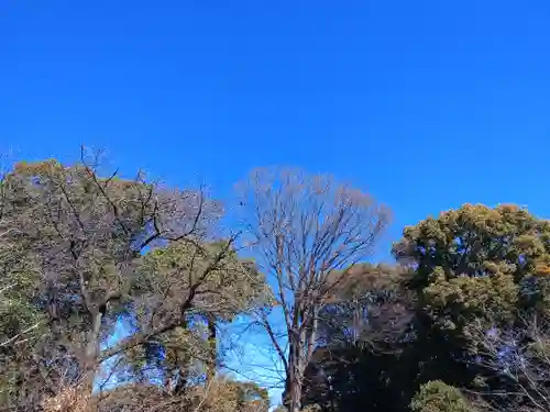 阿佐ヶ谷神明宮(東京都)