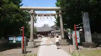 浅草神社の鳥居