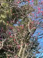 大生郷天満宮の自然