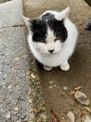 鎌数伊勢大神宮の{uncategorized: "未分類", other: "その他", undefined: "問題あり", building: "その他建物", grave: "お墓", sacred_gate: "鳥居", guardian: "狛犬", statue: "像", buddha: "仏像", history: "歴史", nature: "自然", garden: "庭園", animal: "動物", pagoda: "塔", temizu: "手水舎", mountain_gate: "山門・神門", sanctuary: "本殿・本堂", subordinate: "末社・摂社", art: "芸術", scenery: "景色", jizo: "地蔵", ema: "絵馬", goshuin: "御朱印", omikuji: "おみくじ", items: "授与品その他", amulet: "お守り", goshuincho: "御朱印帳", eats: "食事", festival: "お祭り", votive_dance: "神楽", shichigosan: "七五三参", wedding: "結婚式", experience: "体験その他", initially: "初詣", around: "周辺", anti_infection: "感染症対策"}