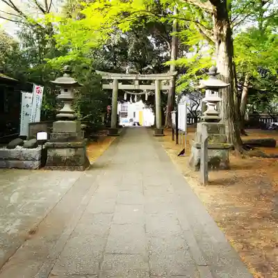 小金井神社の鳥居