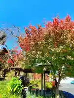 萬寿神社の自然