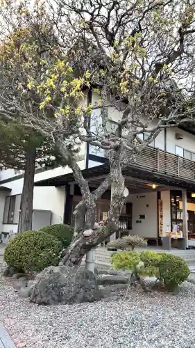 湯倉神社(北海道)