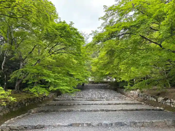 二尊院の{uncategorized: "未分類", other: "その他", undefined: "問題あり", building: "その他建物", grave: "お墓", sacred_gate: "鳥居", guardian: "狛犬", statue: "像", buddha: "仏像", history: "歴史", nature: "自然", garden: "庭園", animal: "動物", pagoda: "塔", temizu: "手水舎", mountain_gate: "山門・神門", sanctuary: "本殿・本堂", subordinate: "末社・摂社", art: "芸術", scenery: "景色", jizo: "地蔵", ema: "絵馬", goshuin: "御朱印", omikuji: "おみくじ", items: "授与品その他", amulet: "お守り", goshuincho: "御朱印帳", eats: "食事", festival: "お祭り", votive_dance: "神楽", shichigosan: "七五三参", wedding: "結婚式", experience: "体験その他", initially: "初詣", around: "周辺", anti_infection: "感染症対策"}