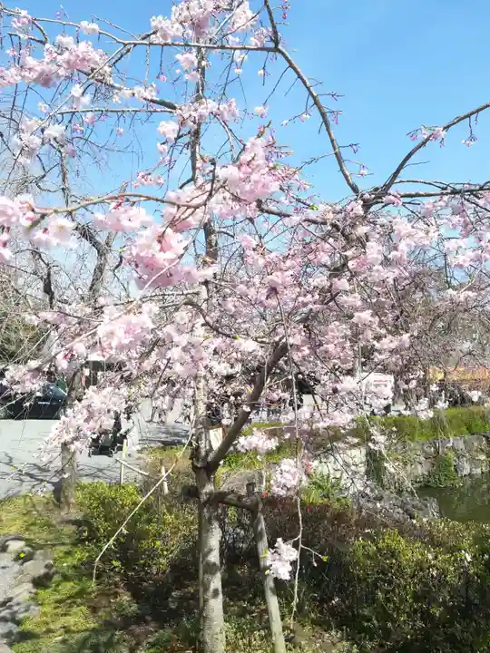 三嶋大社(静岡県)