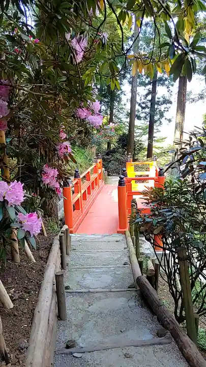 岡寺(龍蓋寺)(奈良県)