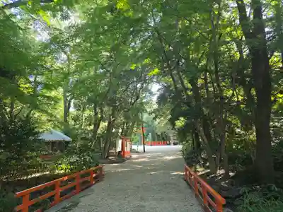 賀茂御祖神社（下鴨神社）(京都府)