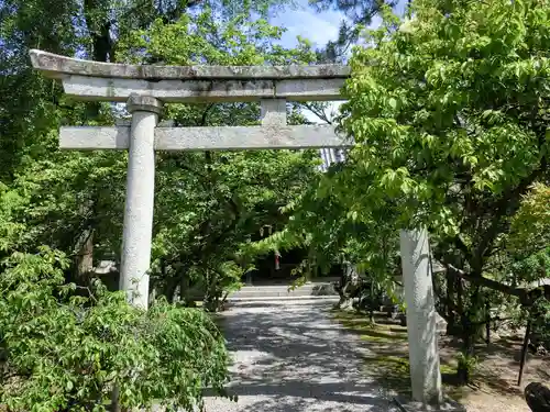 長浜八幡宮の鳥居