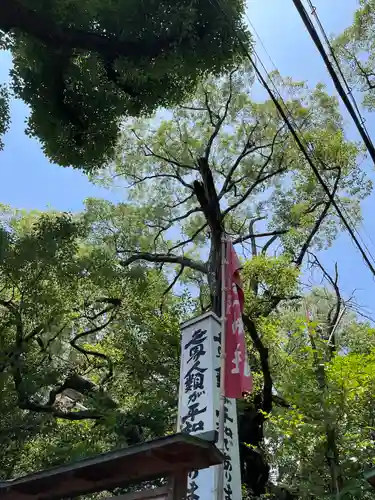 若一神社の自然