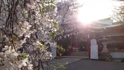 居木神社(東京都)