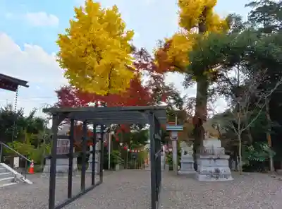 鶴峯八幡宮(千葉県)