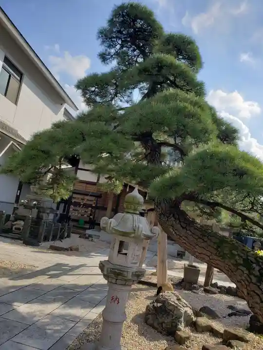 瑞光寺の庭園