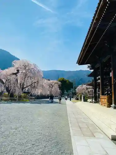 久遠寺の{uncategorized: "未分類", other: "その他", undefined: "問題あり", building: "その他建物", grave: "お墓", sacred_gate: "鳥居", guardian: "狛犬", statue: "像", buddha: "仏像", history: "歴史", nature: "自然", garden: "庭園", animal: "動物", pagoda: "塔", temizu: "手水舎", mountain_gate: "山門・神門", sanctuary: "本殿・本堂", subordinate: "末社・摂社", art: "芸術", scenery: "景色", jizo: "地蔵", ema: "絵馬", goshuin: "御朱印", omikuji: "おみくじ", items: "授与品その他", amulet: "お守り", goshuincho: "御朱印帳", eats: "食事", festival: "お祭り", votive_dance: "神楽", shichigosan: "七五三参", wedding: "結婚式", experience: "体験その他", initially: "初詣", around: "周辺", anti_infection: "感染症対策"}