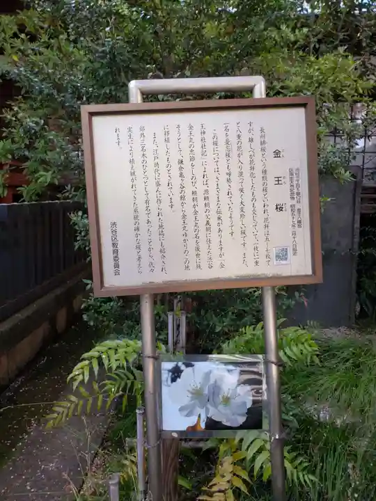 金王八幡宮(東京都)