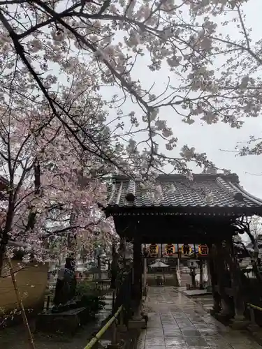 新井薬師（梅照院）(東京都)