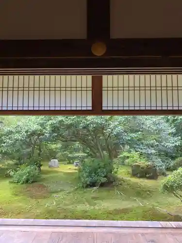 地蔵院の庭園