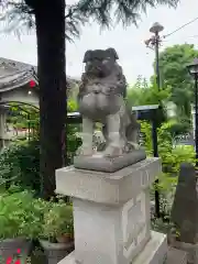 今戸神社の狛犬