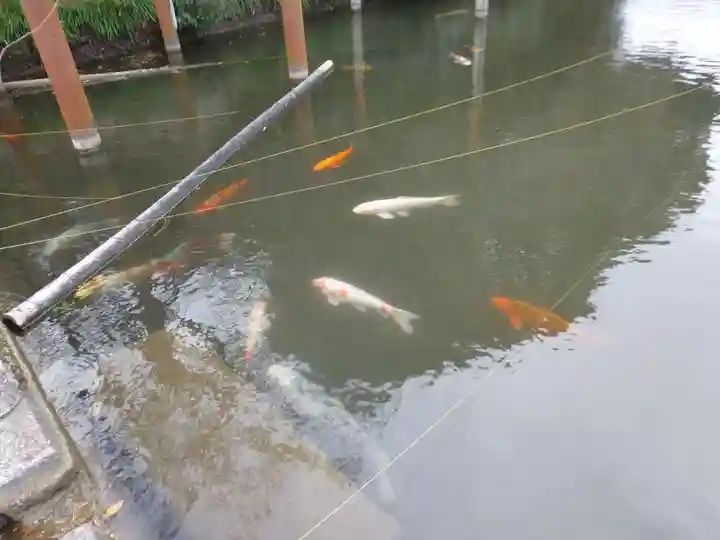 嘉川八幡宮(山口県)