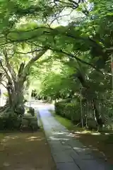 花山院菩提寺の建物その他