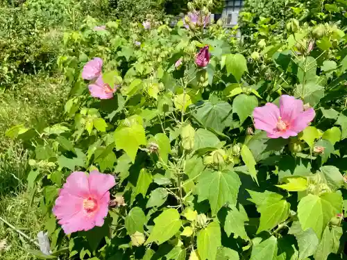 見光寺(神奈川県)