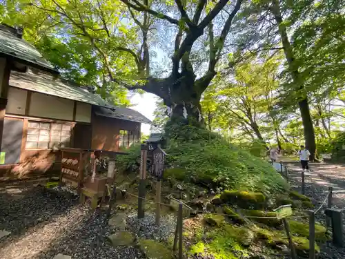 熊野皇大神社(長野県)