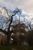 浄専寺(宮崎県)