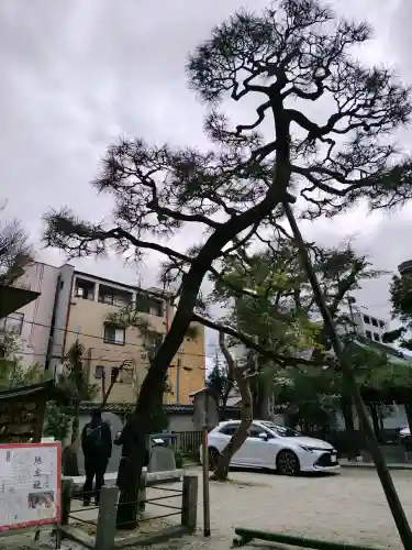 白峯神宮の{uncategorized: "未分類", other: "その他", undefined: "問題あり", building: "その他建物", grave: "お墓", sacred_gate: "鳥居", guardian: "狛犬", statue: "像", buddha: "仏像", history: "歴史", nature: "自然", garden: "庭園", animal: "動物", pagoda: "塔", temizu: "手水舎", mountain_gate: "山門・神門", sanctuary: "本殿・本堂", subordinate: "末社・摂社", art: "芸術", scenery: "景色", jizo: "地蔵", ema: "絵馬", goshuin: "御朱印", omikuji: "おみくじ", items: "授与品その他", amulet: "お守り", goshuincho: "御朱印帳", eats: "食事", festival: "お祭り", votive_dance: "神楽", shichigosan: "七五三参", wedding: "結婚式", experience: "体験その他", initially: "初詣", around: "周辺", anti_infection: "感染症対策"}