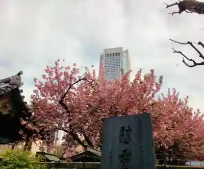 荘厳寺(東京都)