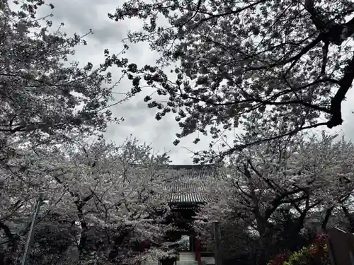 浄心寺(東京都)