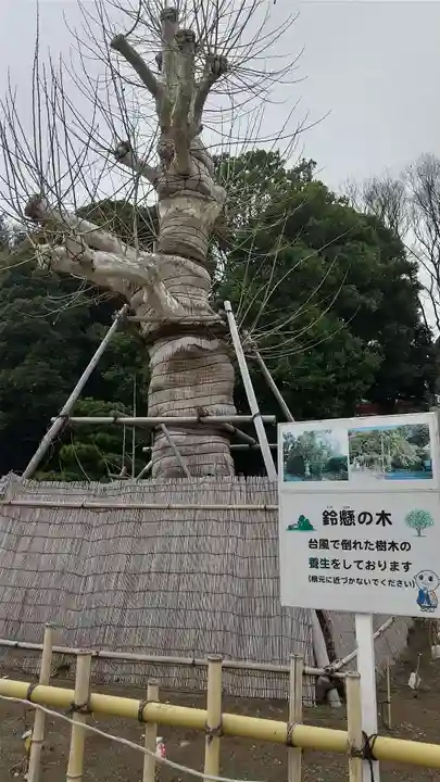 瀧泉寺(目黒不動尊)の自然