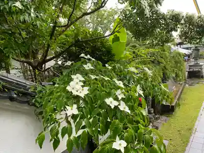平等寺(徳島県)