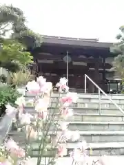 報恩寺の本殿