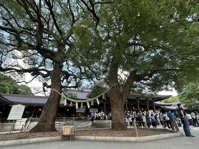 明治神宮(東京都)