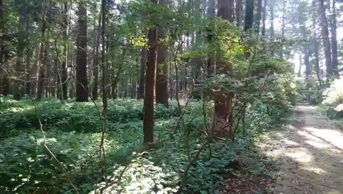 巌島神社の自然