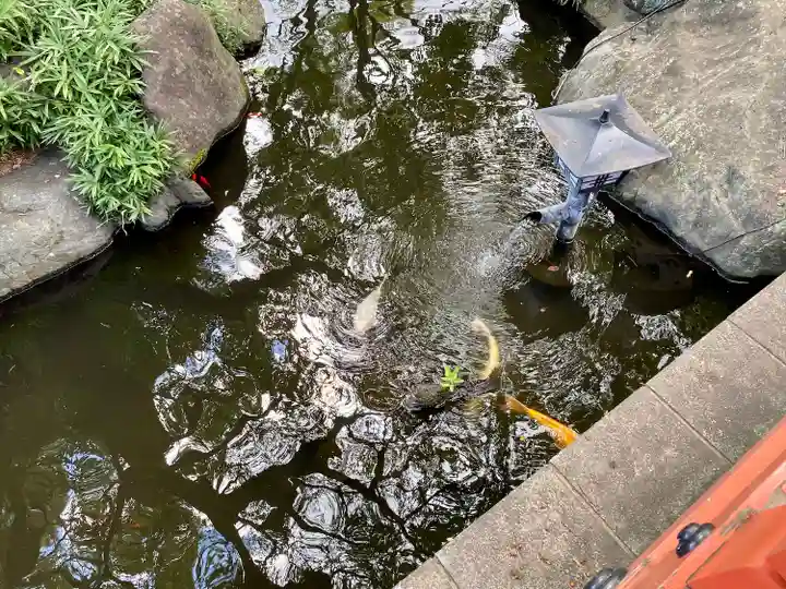 千葉天神(千葉県)