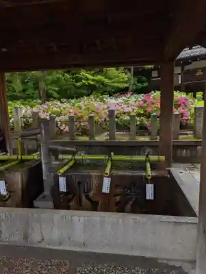 城南宮(京都府)