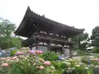 観音寺の自然