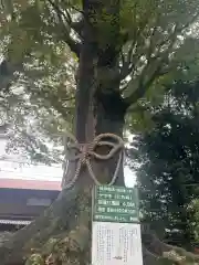 出雲大社相模分祠(神奈川県)