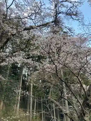 堂の下の岩観音(栃木県)