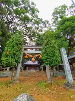 白鳥神社(白鳥町)の鳥居