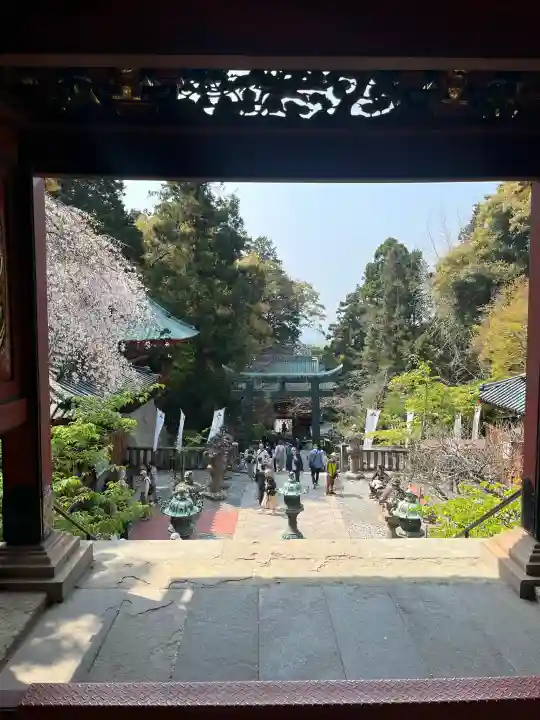 久能山東照宮の{uncategorized: "未分類", other: "その他", undefined: "問題あり", building: "その他建物", grave: "お墓", sacred_gate: "鳥居", guardian: "狛犬", statue: "像", buddha: "仏像", history: "歴史", nature: "自然", garden: "庭園", animal: "動物", pagoda: "塔", temizu: "手水舎", mountain_gate: "山門・神門", sanctuary: "本殿・本堂", subordinate: "末社・摂社", art: "芸術", scenery: "景色", jizo: "地蔵", ema: "絵馬", goshuin: "御朱印", omikuji: "おみくじ", items: "授与品その他", amulet: "お守り", goshuincho: "御朱印帳", eats: "食事", festival: "お祭り", votive_dance: "神楽", shichigosan: "七五三参", wedding: "結婚式", experience: "体験その他", initially: "初詣", around: "周辺", anti_infection: "感染症対策"}