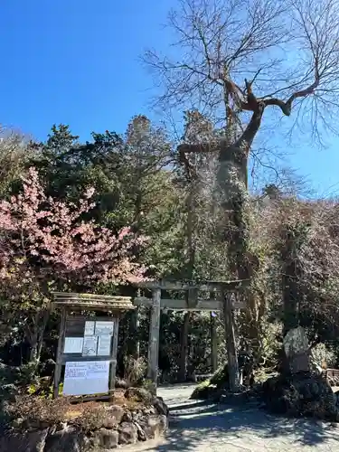 瀧川神社の鳥居